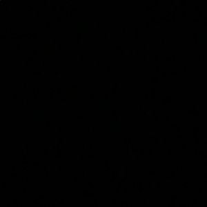 Meet your Posher, Annabel